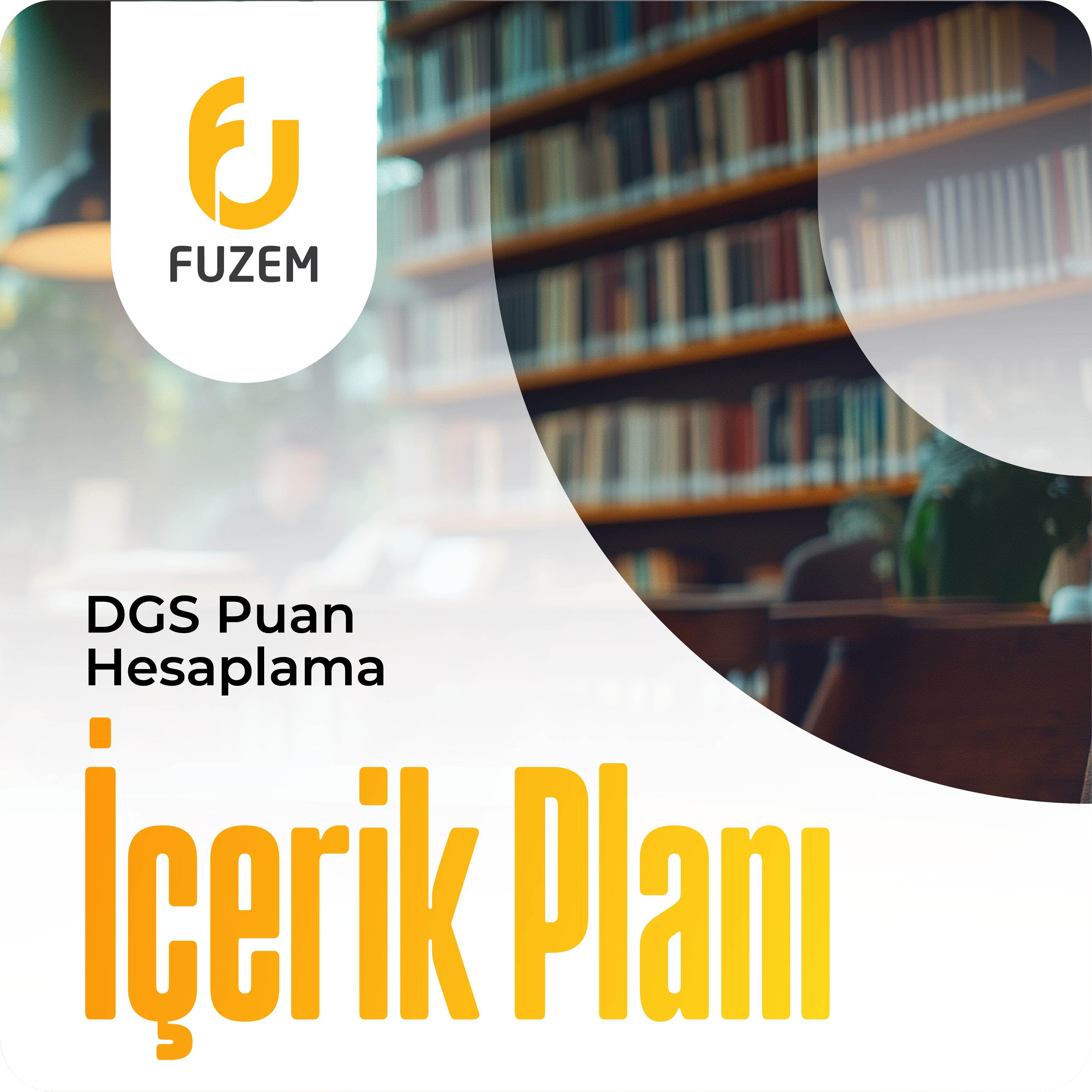 DGS Puan Hesaplama