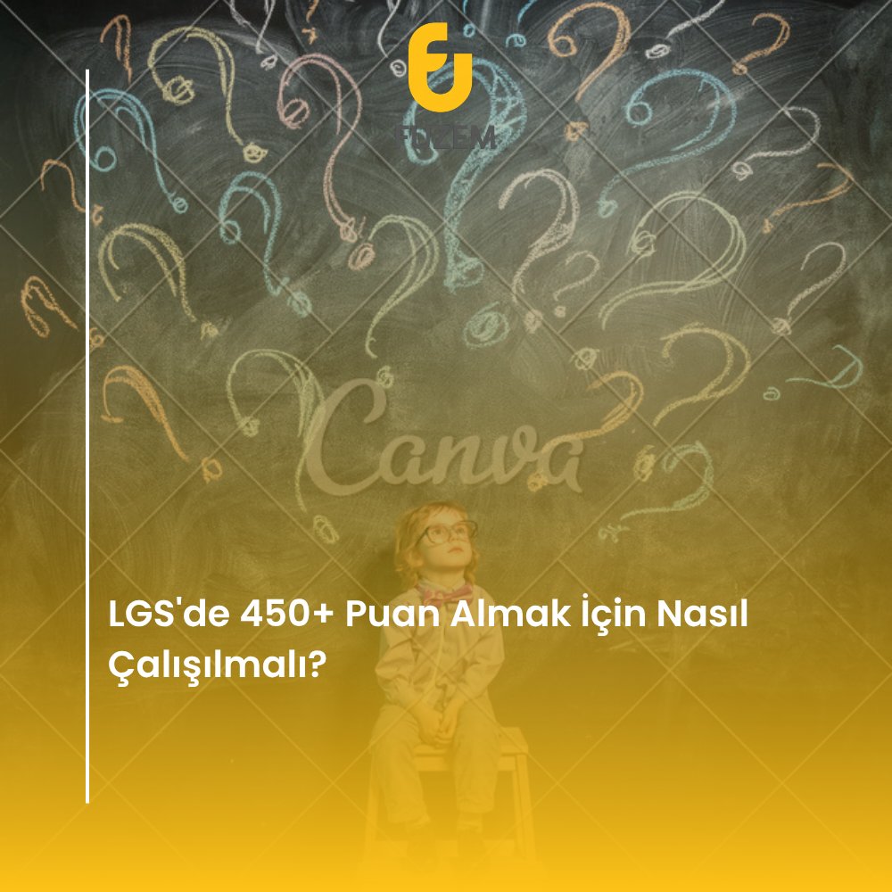 LGS'de 450+ Puan Almak İçin Nasıl Çalışılmalı?